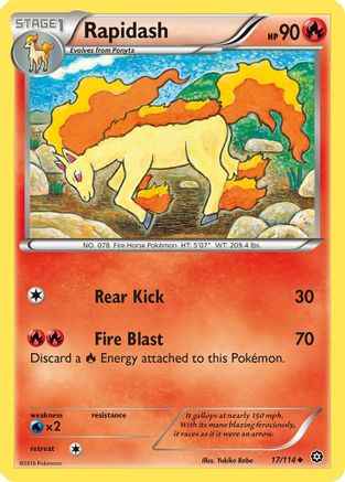 Rapidash 017/114 - XY  Steam Siege