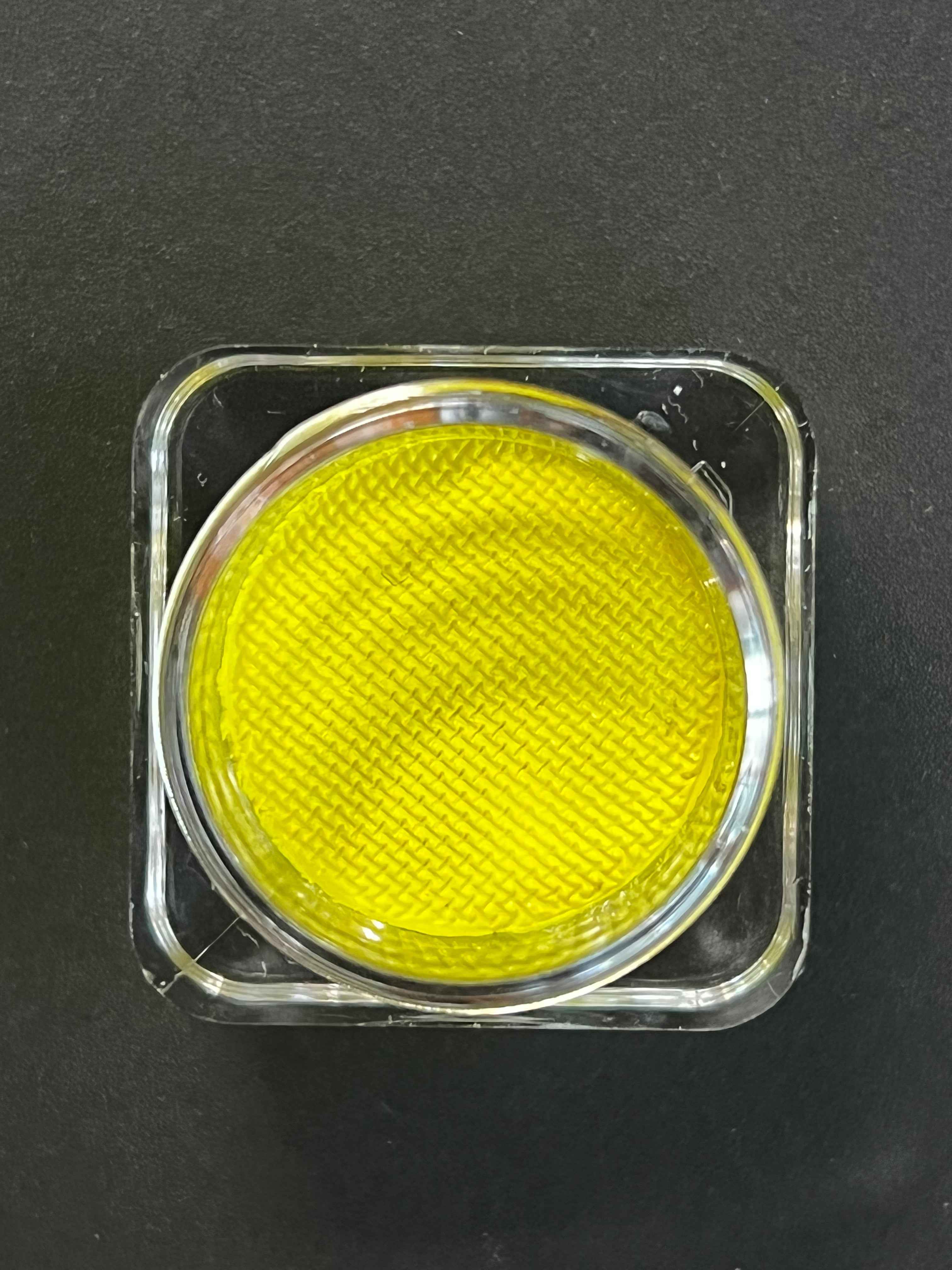 15 - Dijon (Yellow) Water Activated Graphic Liner