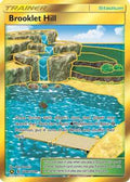 Brooklet Hill SV88/SV94 - Hidden Fates Shiny Vault Holofoil