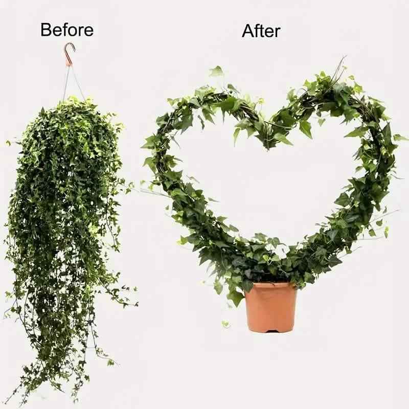 2-Pack: Heart-Shaped Plant Support Stake