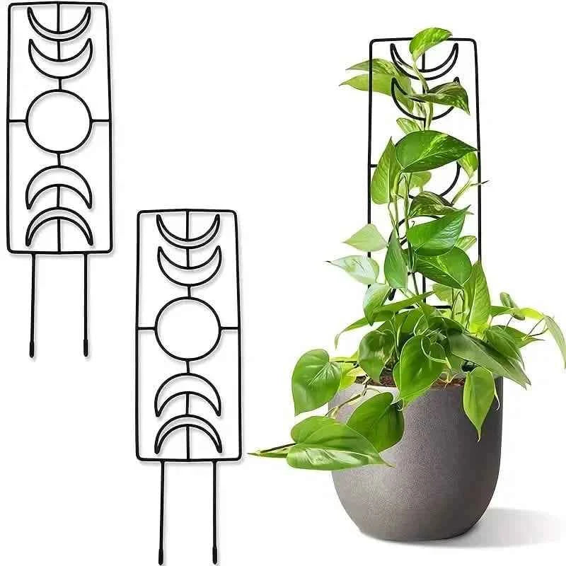 2-Pack: Metal Plant Trellis for Climbing Plants Indoor