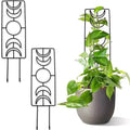 2-Pack: Metal Plant Trellis for Climbing Plants Indoor