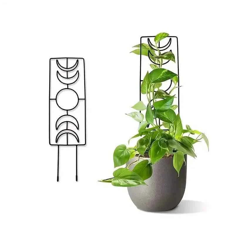 2-Pack: Metal Plant Trellis for Climbing Plants Indoor