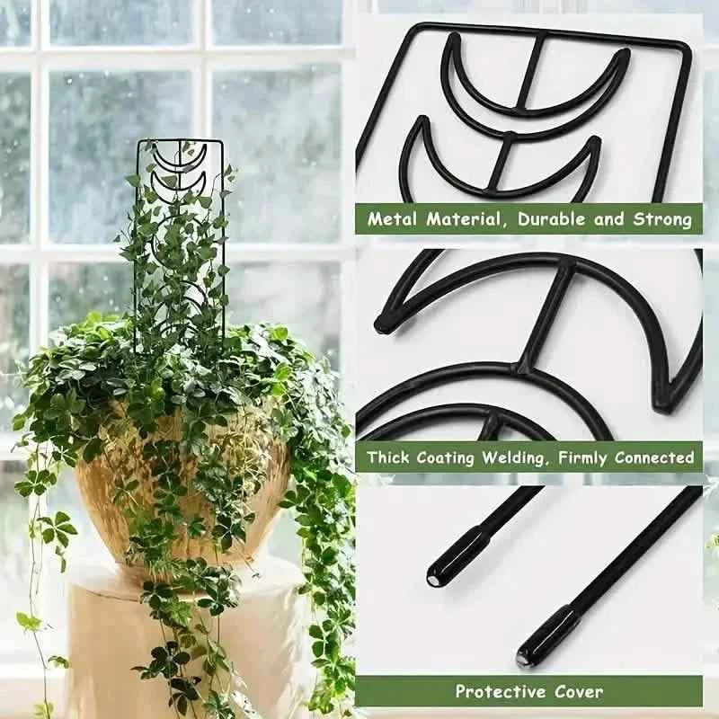 2-Pack: Metal Plant Trellis for Climbing Plants Indoor