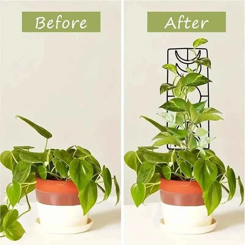 2-Pack: Metal Plant Trellis for Climbing Plants Indoor