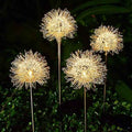 2-Pack: Outdoor Solar Dandelion Lawn Lights