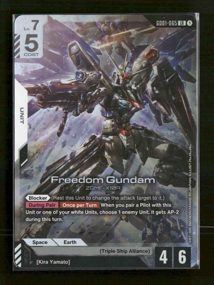 Newtype Rising Freedom Gundam #GD01-065