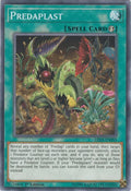 Predaplast [LED5-EN055] Common