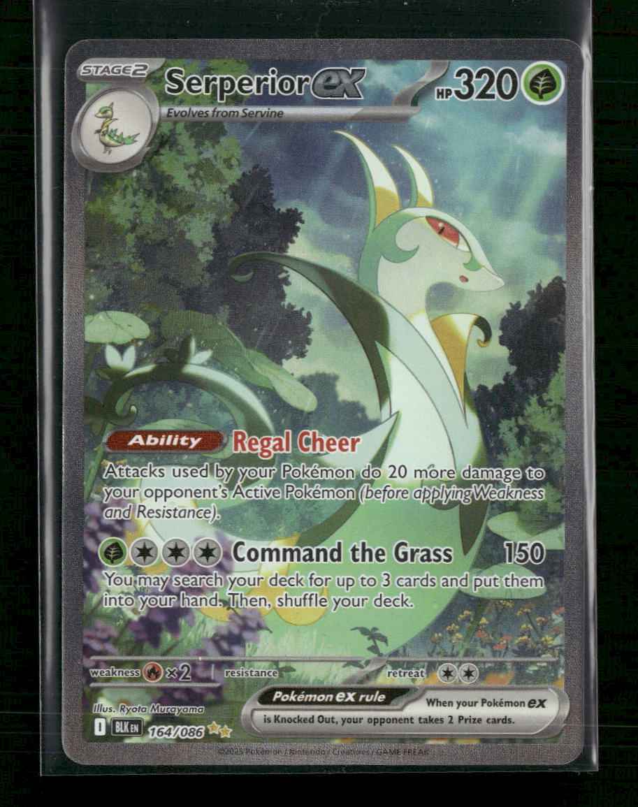 SV: Black Bolt Serperior ex #164/086
