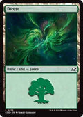Forest (0275) (EOE-275) - Edge of Eternities