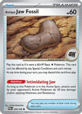 Antique Jaw Fossil 068 - ME03 Perfect Order