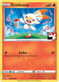 Scorbunny (031/202) (Library Exclusive) [Sword & Shield: Base Set]