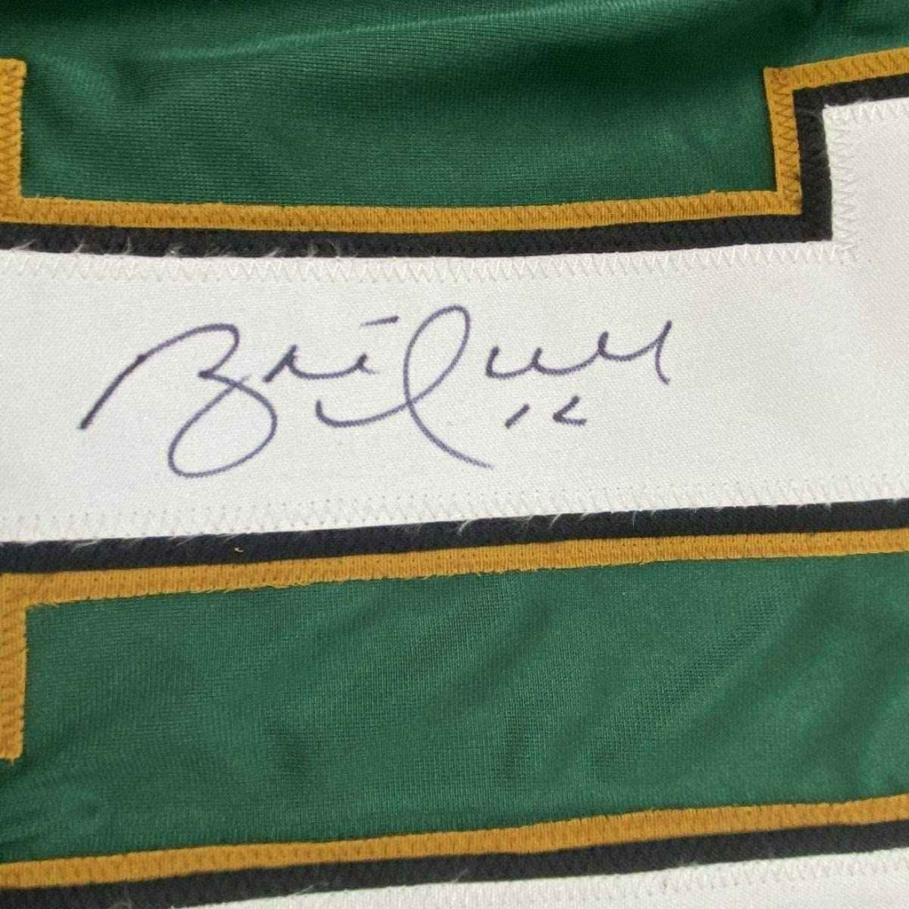 Framed Autographed/Signed Brett Hull #16 35x39 Dallas Green Hockey Jersey JSA COA