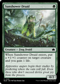 Sunshower Druid (BLB-195) - Bloomburrow Foil