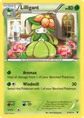 Lilligant 005/101 - Noble Victories
