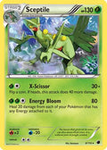 Sceptile 008/116 - Plasma Freeze Reverse Holofoil