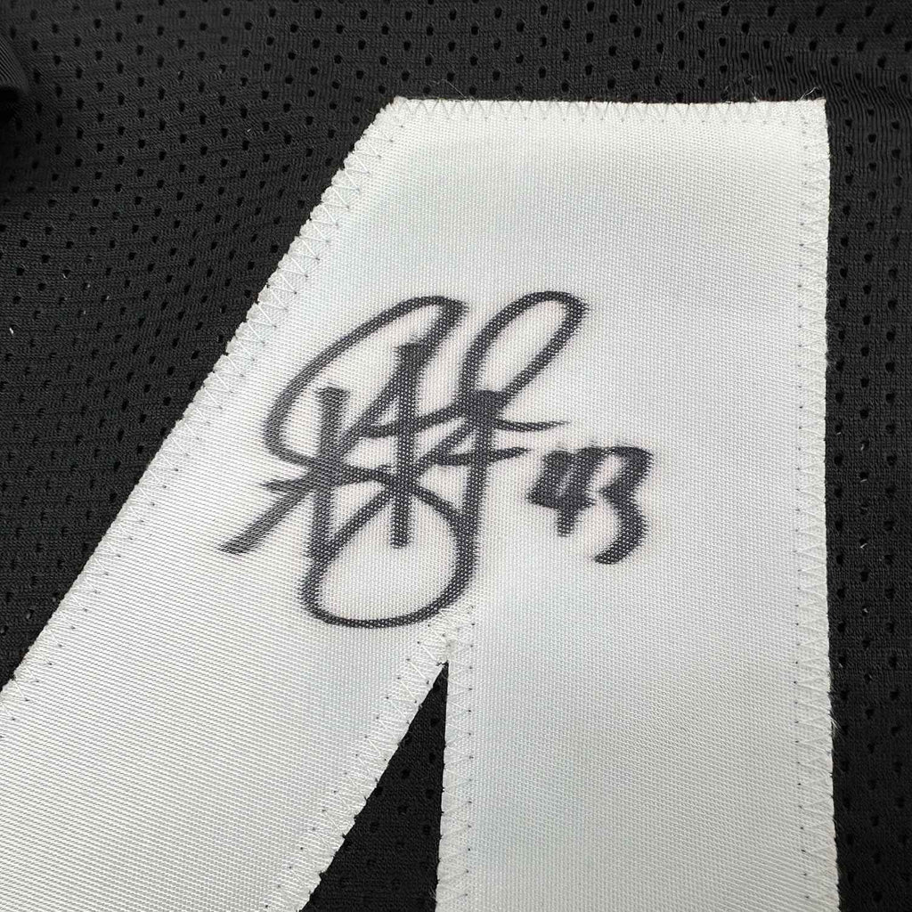 Framed Autographed/Signed Troy Polamalu 35x39 Pittsburgh Retro Black Football Jersey JSA COA
