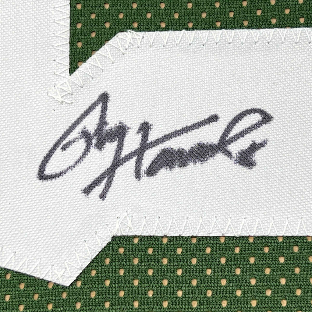 Framed Autographed/Signed Paul Hornung 35x39 Green Bay Green Football Jersey JSA COA