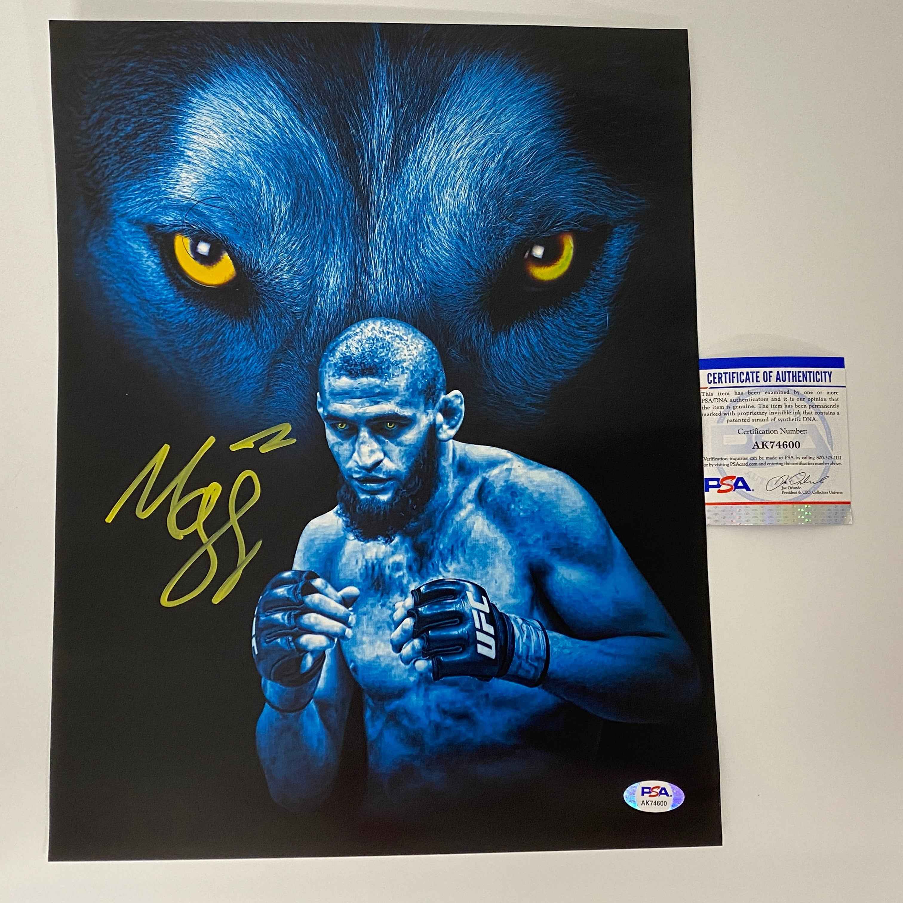 Autographed/Signed Khamzat Borz Chimaev UFC MMA Ultimate Fighting 11x14 Photo PSA/DNA COA #2