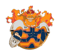 Endeavor Pin