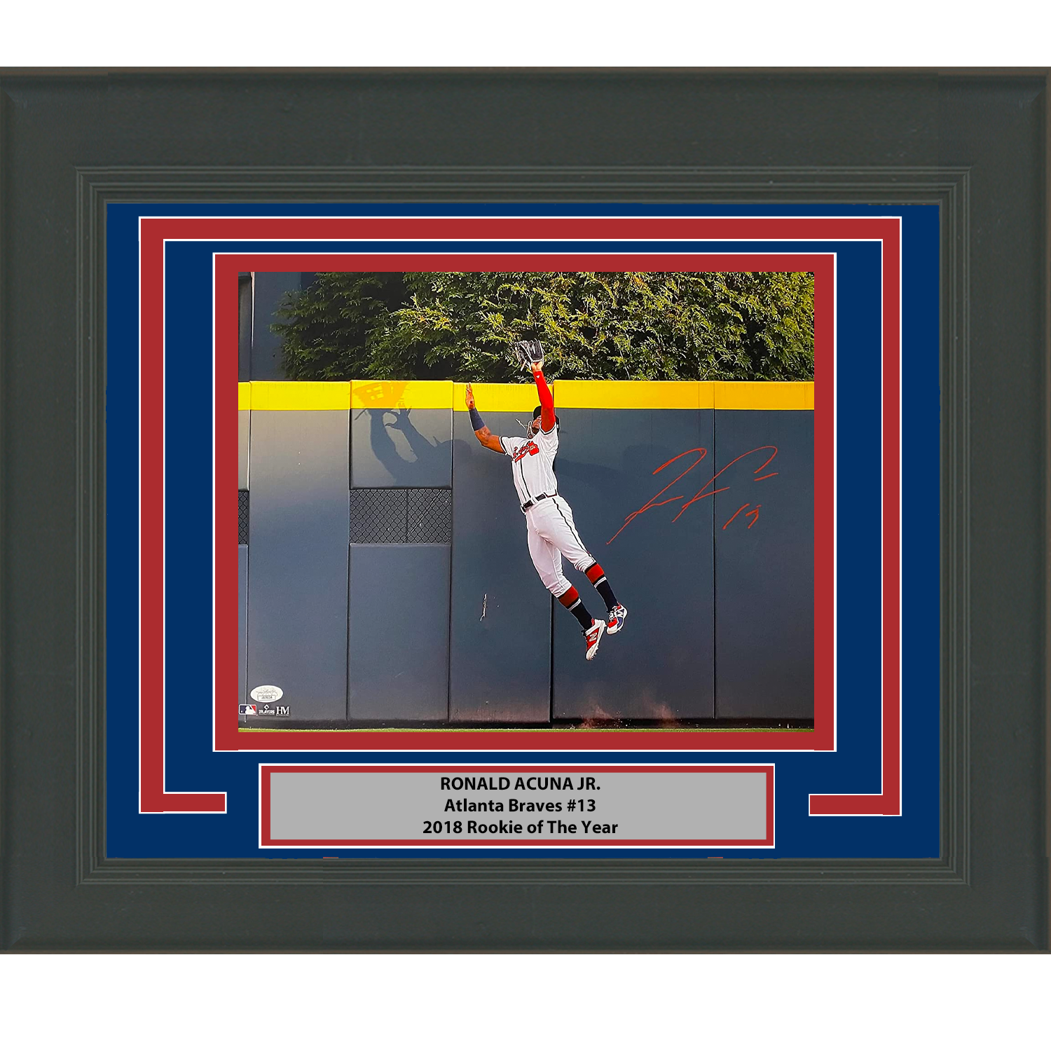 Framed Autographed/Signed Ronald Acuna Jr. Atlanta Braves 16x20 Baseball Photo JSA COA #4