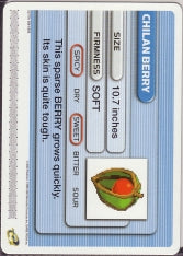 Pokémon Battle-e - Hidden Ruins Chilan Berry