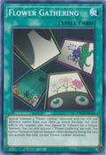 Flower Gathering [DLCS-EN136] Common