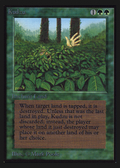 Kudzu (IED-) - Intl. Collectors' Edition