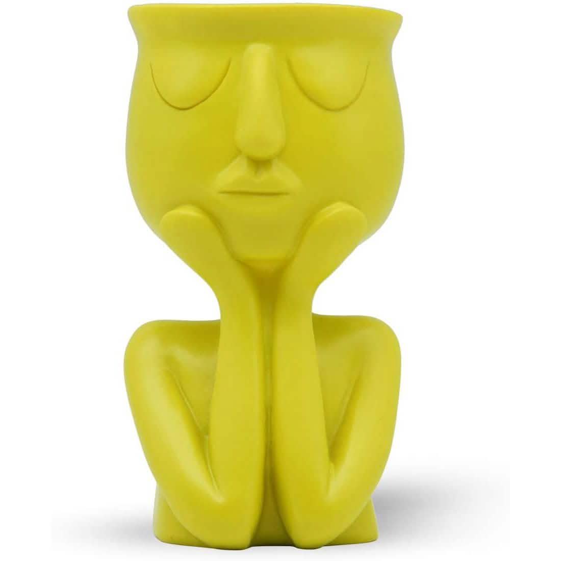 Greneric Character Portrait Flower Pot Resin Succulents Plant Pot