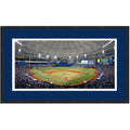 Framed Tropicana Field Tampa Bay Rays MLB 16x24 Baseball Photo Professionally Matted