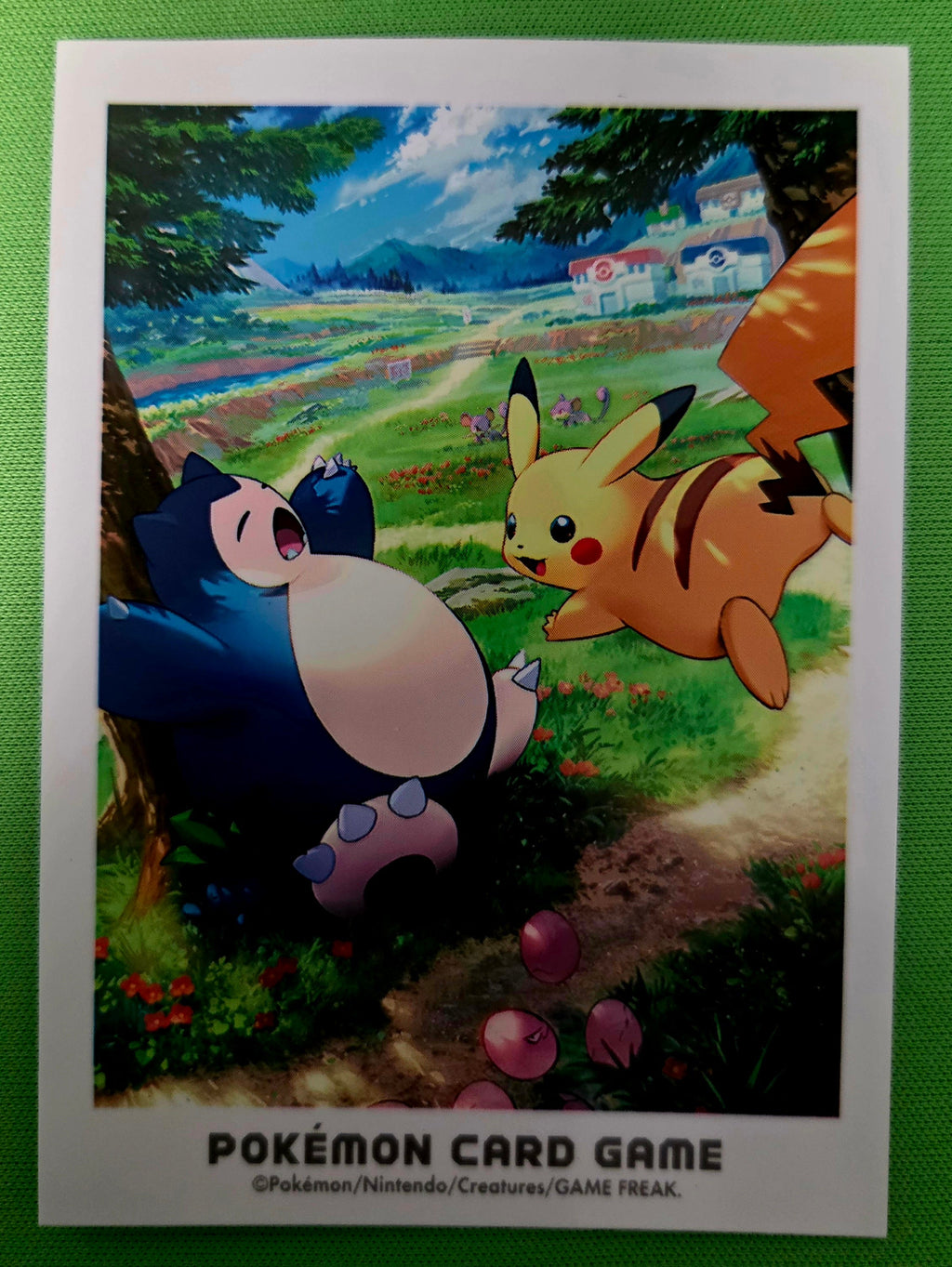 Pokémon Card Sleeve (Single Sleeve)