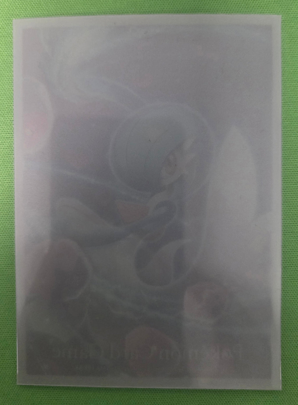 Pokémon Card Sleeve (Single Sleeve)