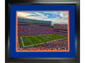 Framed Ben Hill Griffin Stadium (The Swamp) Florida Gators 11"x14" NCAA Football Photo Professionally Matted
